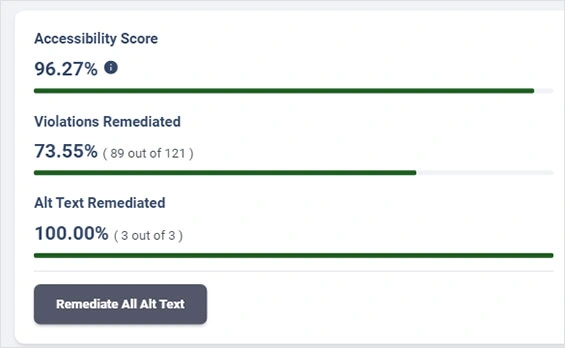 accessibility score icon
