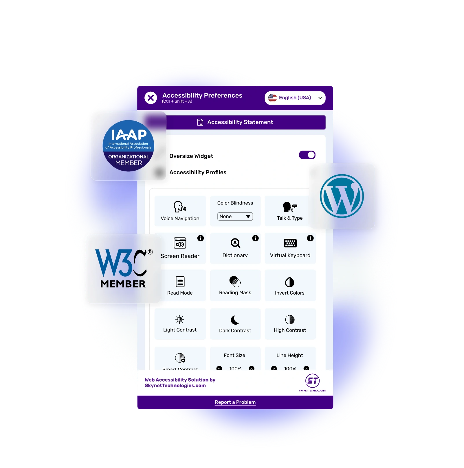 WordPress Accessibility Plugin