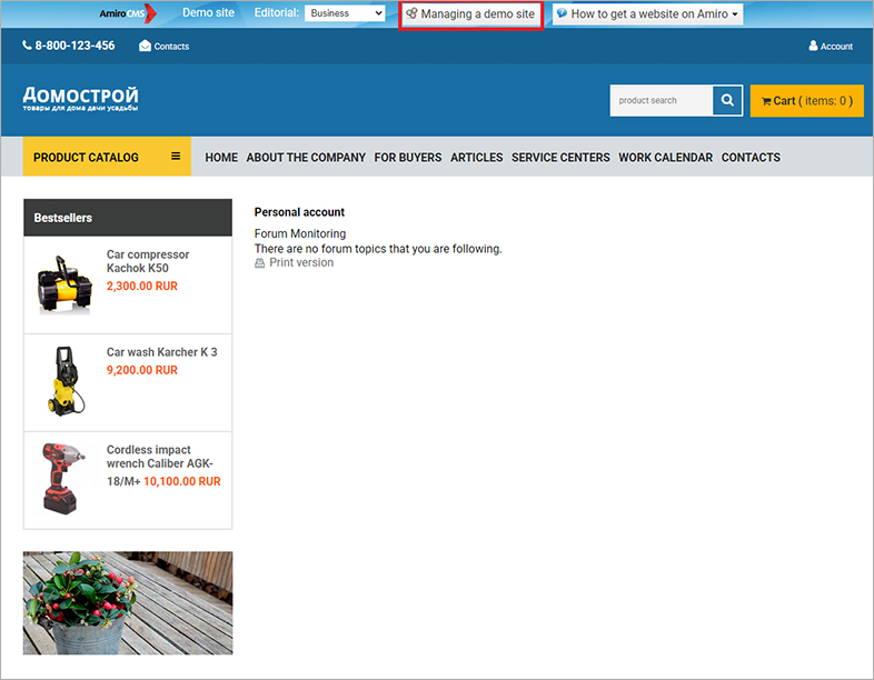 amirocms website accessibility remediation