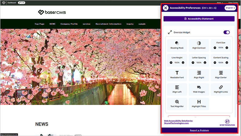 basercms accessible website design