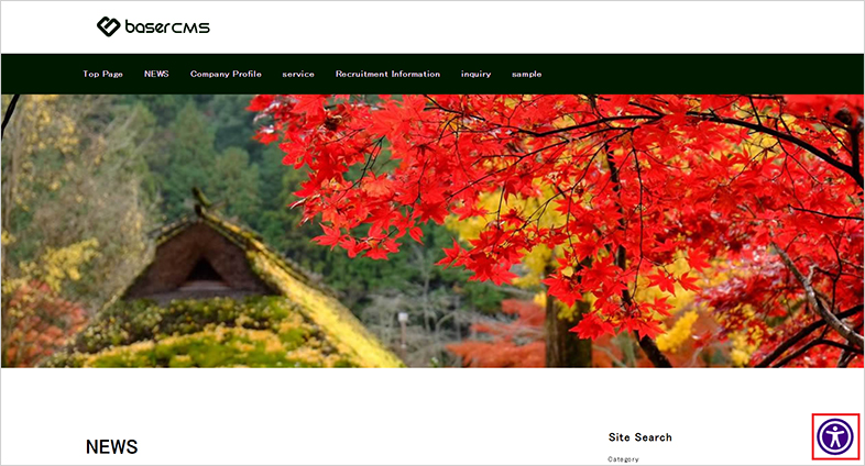 basercms all in one accessibility