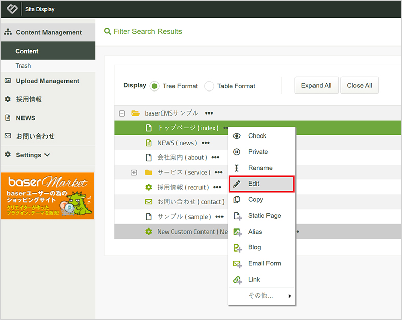 basercms wcag web accessibility