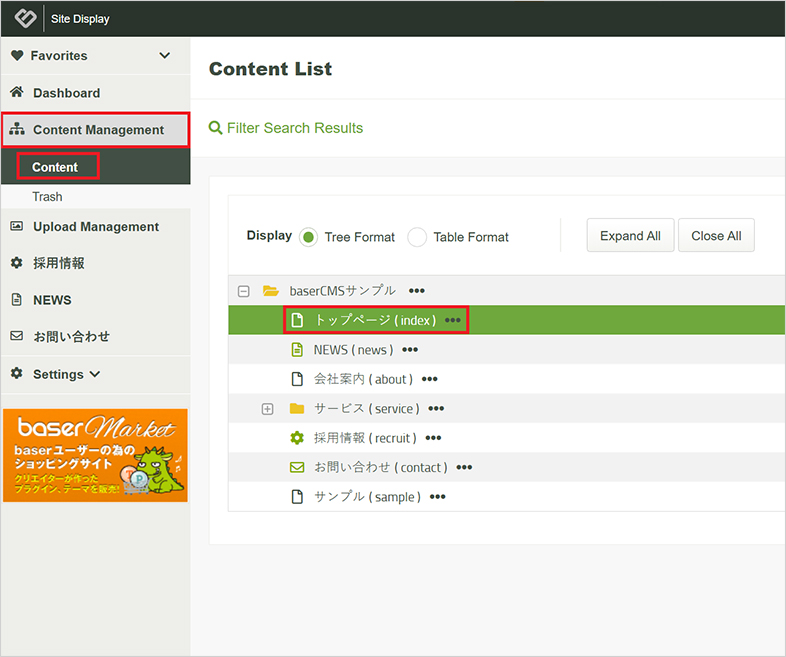 basercms website accessibility remediation