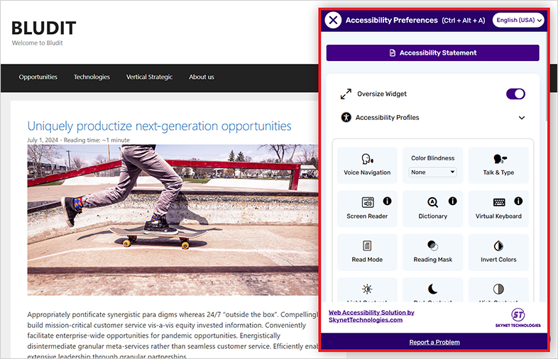 accessible bludit-cms accessible website design