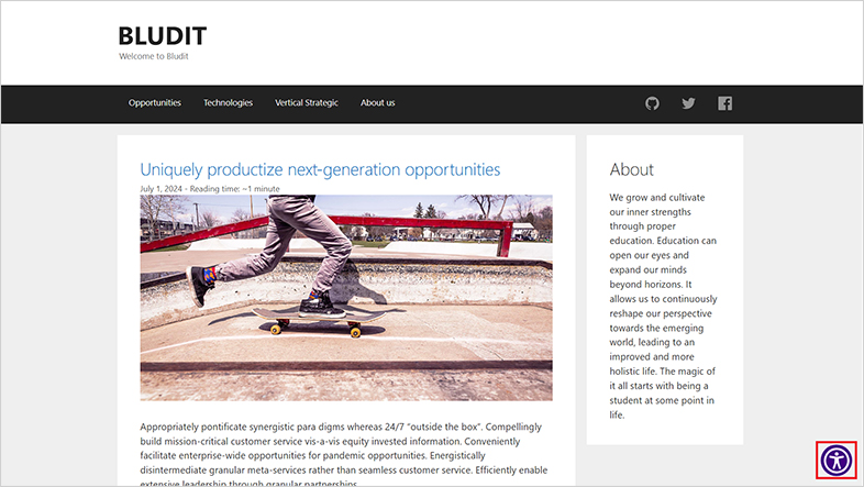 bludit-cms accessible website design