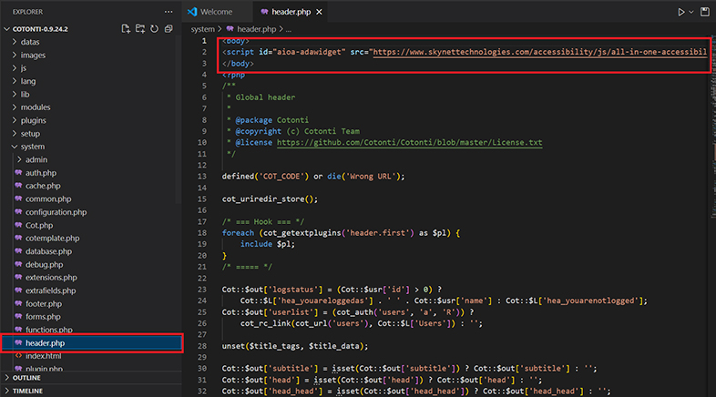 cotonti wcag web accessibility
