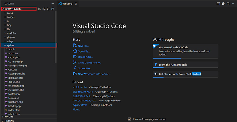 cotonti website accessibility remediation