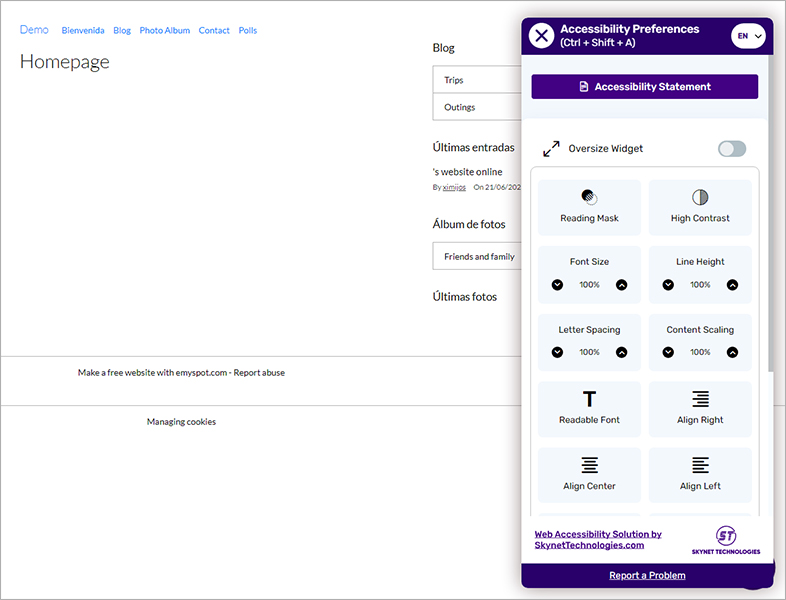 accessible e-monsite accessible website design