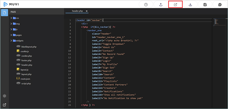 ada accessible muvione-cms website