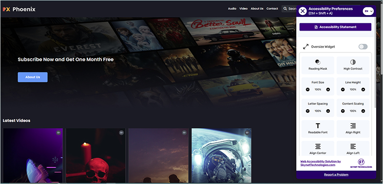 muvione-cms ada web accessibility