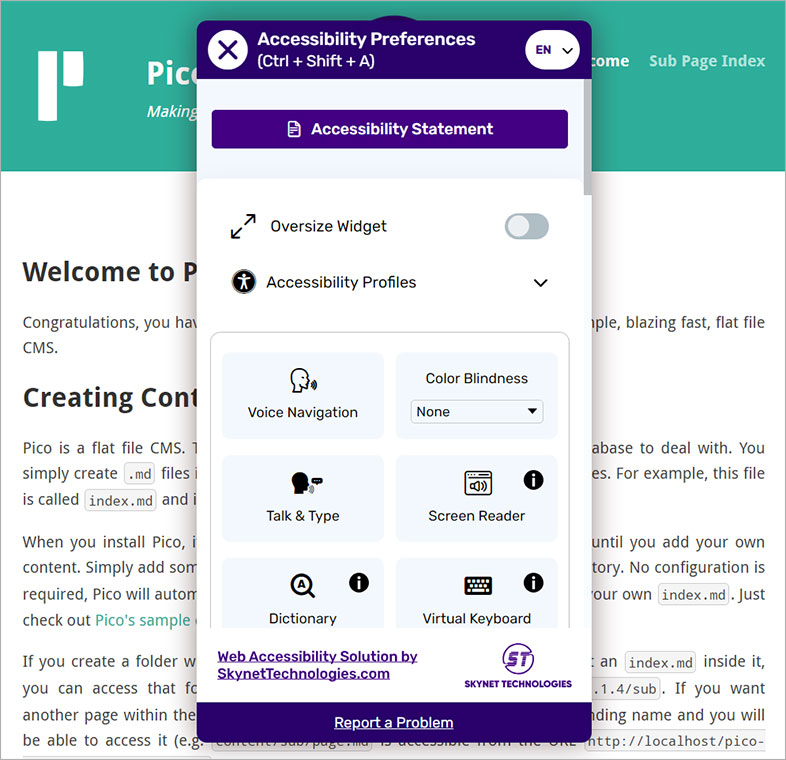 picocms ada website accessibility