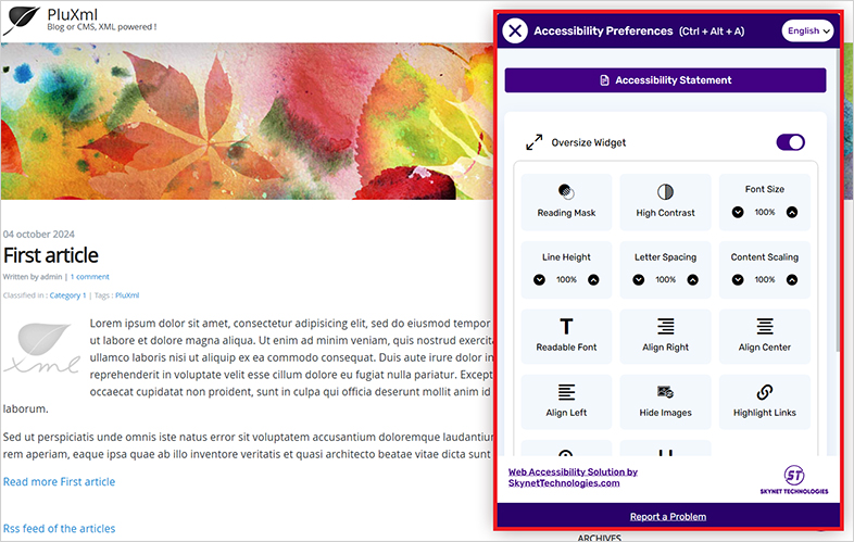 accessible pluxml accessible website design