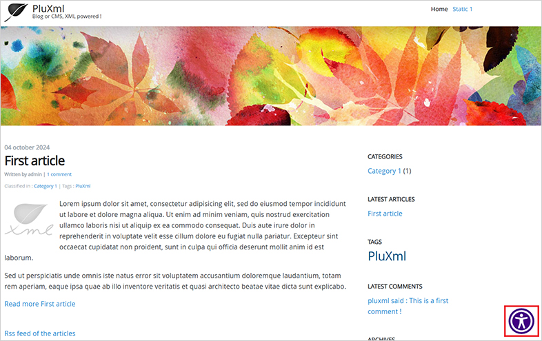 pluxml accessible website design