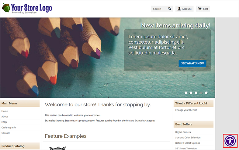 accessible squirrelcart accessible website design
