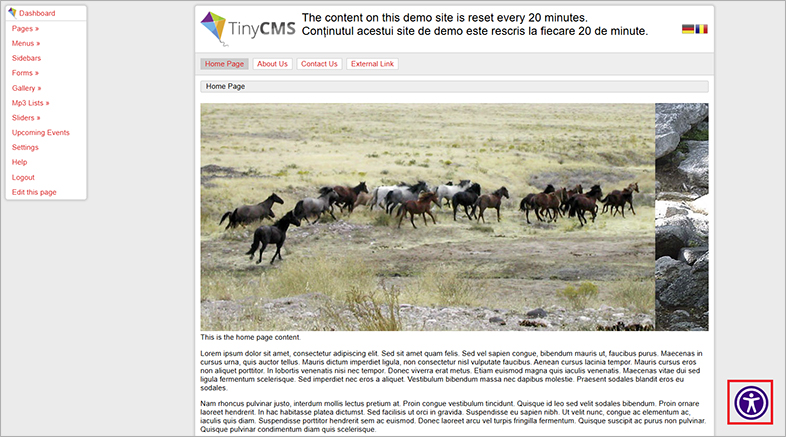 accessible tiny accessible website design
