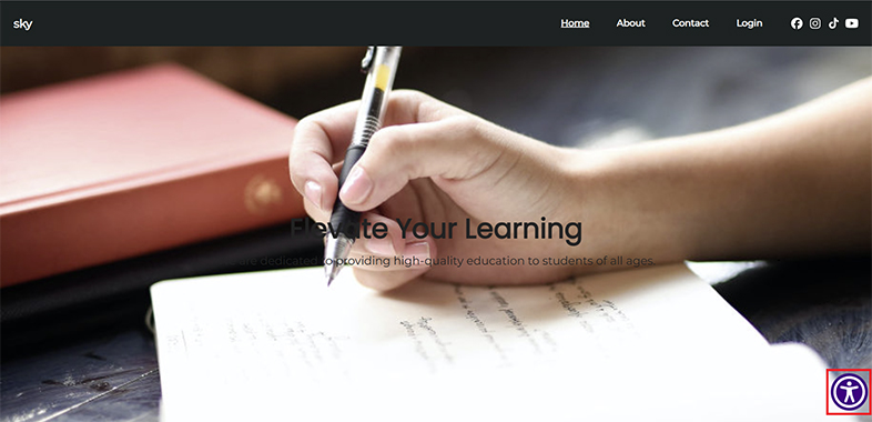 tutorbird wcag website accessibility