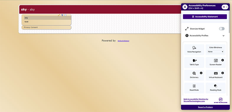 websitebaker wcag website accessibility