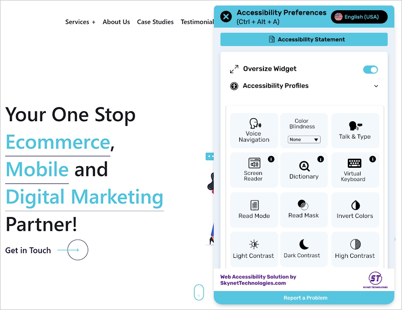 widget preview ada web accessibility
