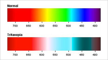 blue yellow color blindness