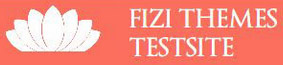 fizithemes theme logo
