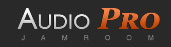 audiopro theme logo