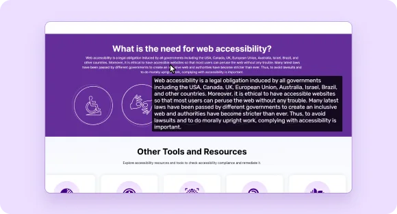website interface showcasing a text magnifier tool for enhancing web accessibility features