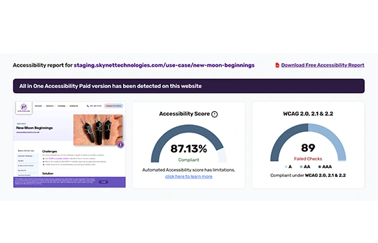 Website Accessibility Checker