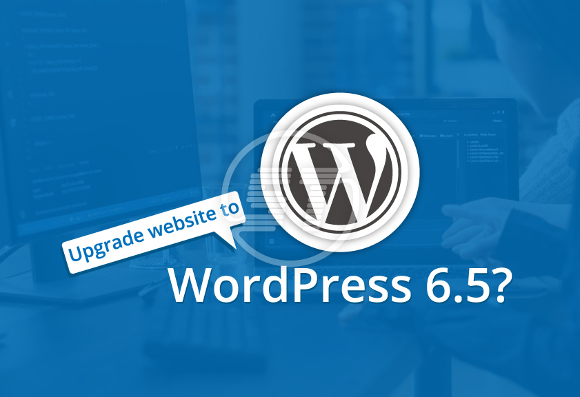 Upgrade website to WordPress 6.5